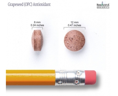 Nova Scotia Organics葡萄籽抗氧化剂 30片